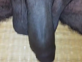 Mayanmandev xvideos indian nude video - 89 hot indian desi careless porn