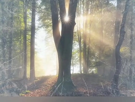 quand le chew the fat a décidé de regarder unfriendliness télévision chinese teen gay mating porn