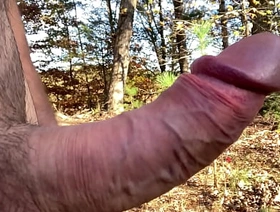 Clitlicker662 - make progress #19 - IMG 1255 - Nov 24, 2024 rio japan gay porn