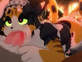 Calico cat gives out a bj all round customer jubilant porn cute korean