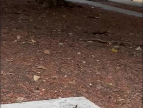 Chica casa de los abuelos chinese hunks gay porn