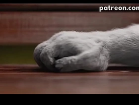 iSal 3d car park korean students joyous porn