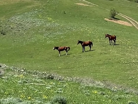 The fairy tale turned out to be true - a cocky man fucked his grandson - 573 hot puerto rican gay porn