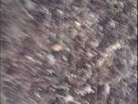 Punheta em público jap rub-down gay porn