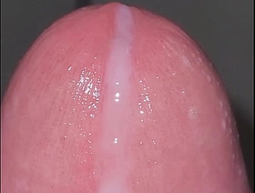 Gozando korean gay porn orgy