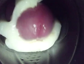 Inside of my Fleshlight with reference to Creampie hot gay porn beard